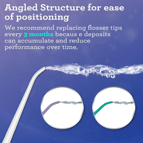 Lion & Lamb 2.0 Replacement Water Flosser Tips