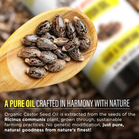 Organic Castor Oil – 8 oz