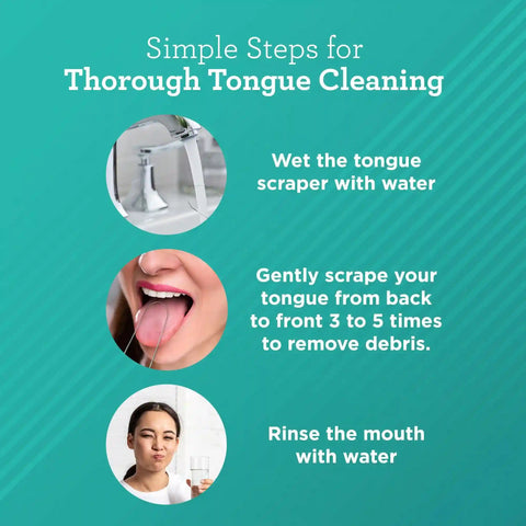U Shaped Stainless Steel Tongue Scraper – 2 Pack